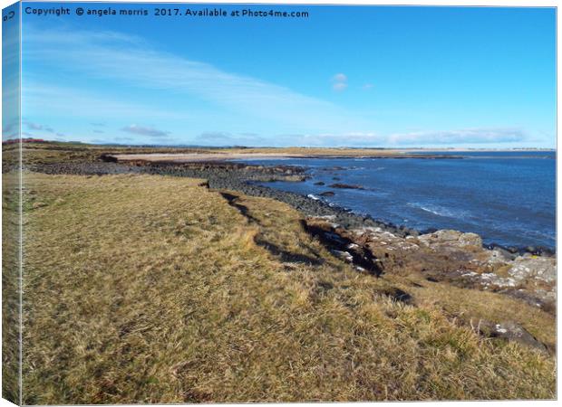 Low Newton by the sea Northumberland Canvas Print by angela morris