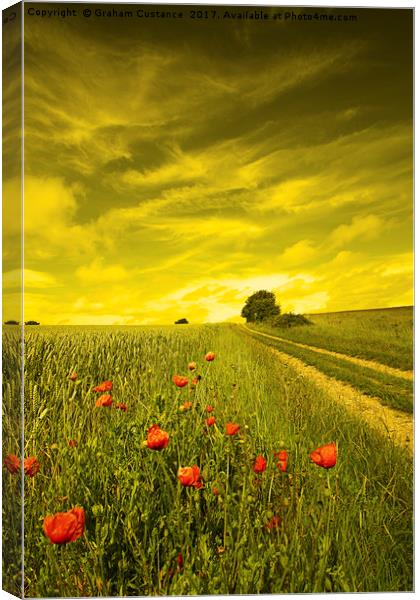 Poppies Canvas Print by Graham Custance