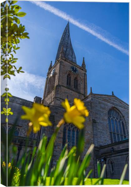The Crooked Spire in Spring Canvas Print by Mike Roberts