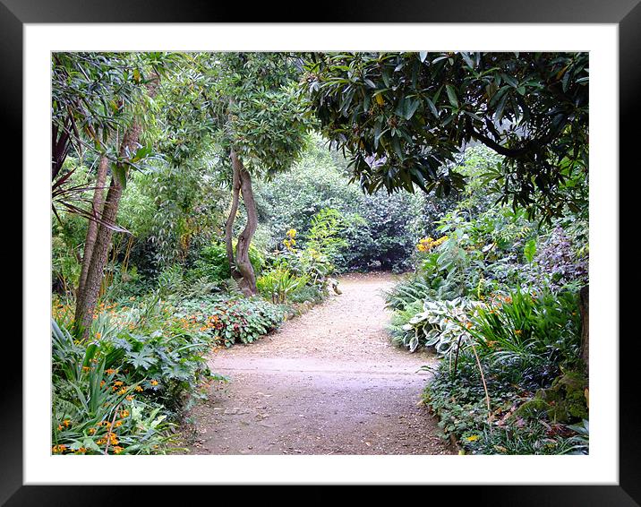 Abbotsbury Subtropical Gardens Framed Mounted Print by Ginny Gregg