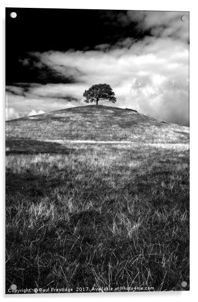 Burrow Hill Near Wedmore, Somerset Acrylic by Paul F Prestidge