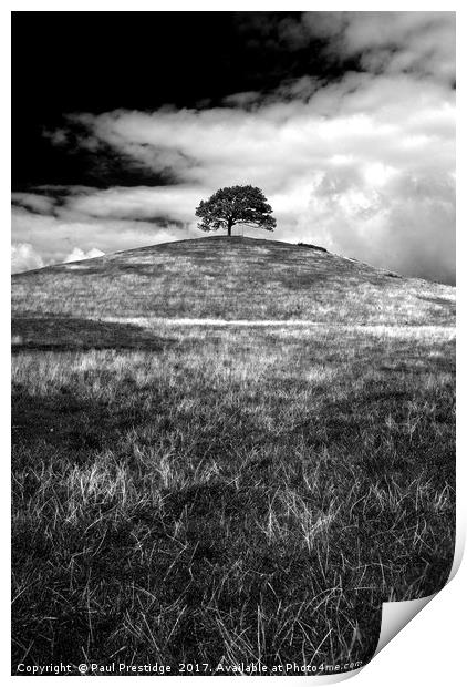 Burrow Hill Near Wedmore, Somerset Print by Paul F Prestidge