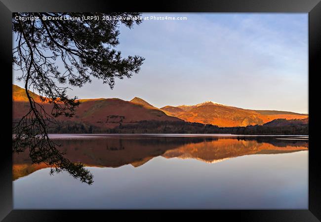 Catbells Reflection Framed Print by David Lewins (LRPS)