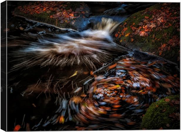 Autumn leaves River Burbage Canvas Print by Nick Lukey