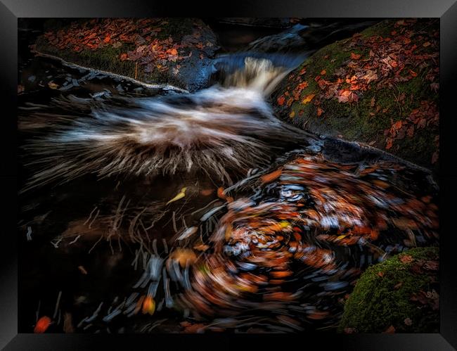 Autumn leaves River Burbage Framed Print by Nick Lukey