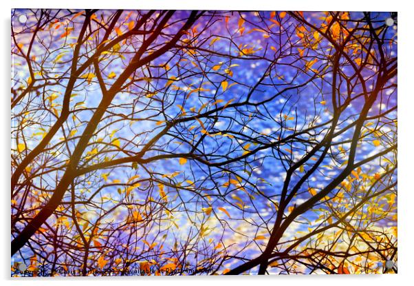 Autumn fantasia Acrylic by Chris Harris