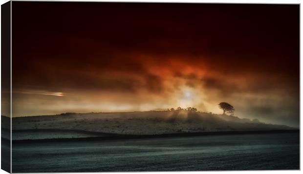 Sunrise and a foggy morning Canvas Print by Nick Lukey