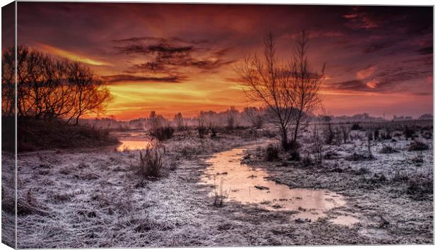 Winter dawn flood meadow Staffordshire Canvas Print by Nick Lukey