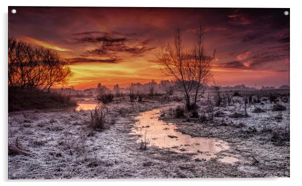 Winter dawn flood meadow Staffordshire Acrylic by Nick Lukey