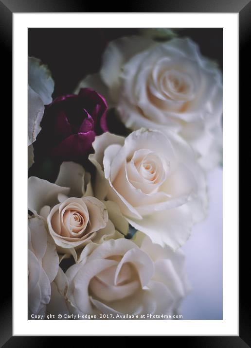 Romantic Roses Framed Mounted Print by Carly Hodges