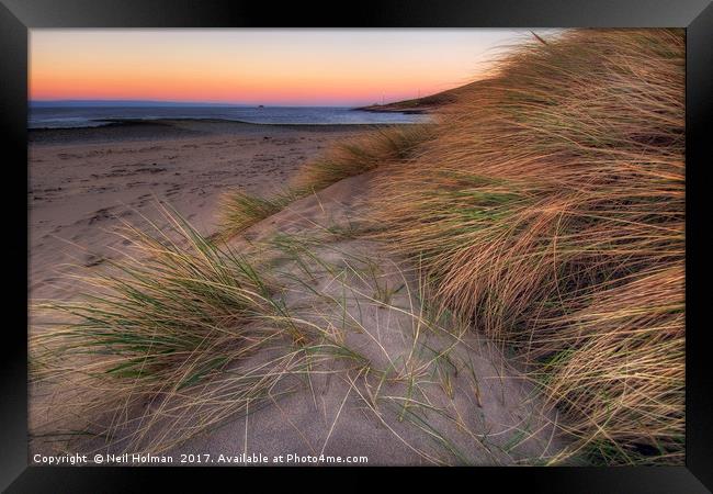 Aberthaw Beach Framed Print by Neil Holman