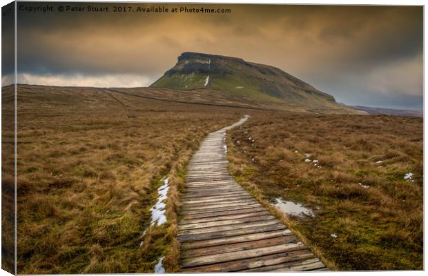 Pen-Y-Ghent from Dale Head  Canvas Print by Peter Stuart