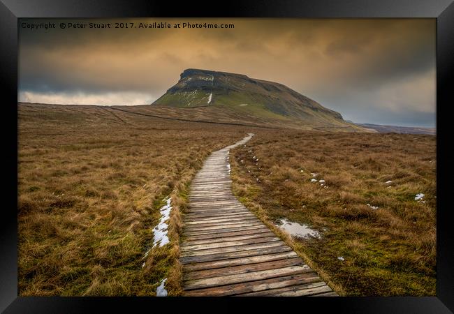 Pen-Y-Ghent from Dale Head  Framed Print by Peter Stuart