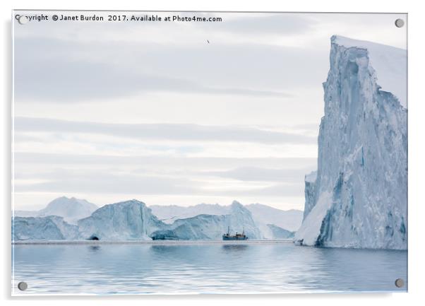 Sailing through  the Icefjord Acrylic by Janet Burdon