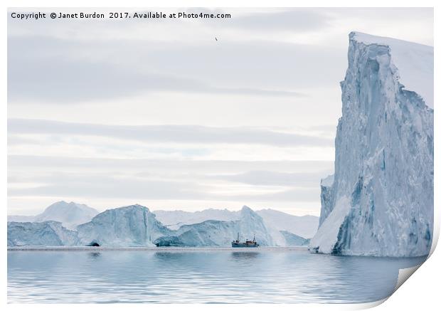 Sailing through  the Icefjord Print by Janet Burdon