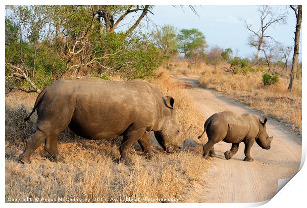 Female rhino with calf crossing track Print by Angus McComiskey