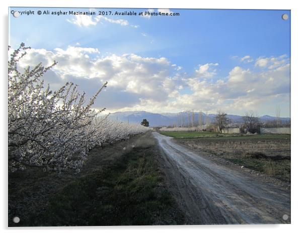 A road through apricot gardens,                    Acrylic by Ali asghar Mazinanian