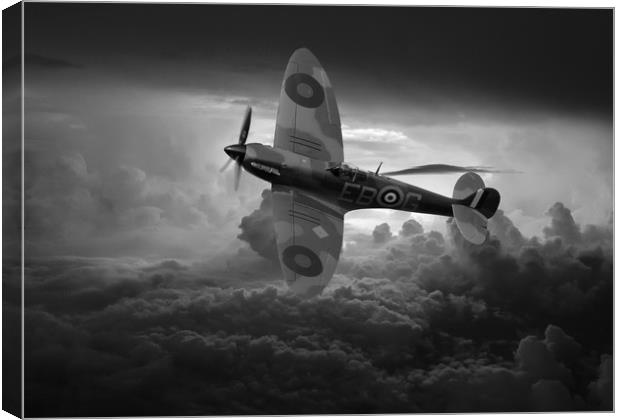 Lest we forget 2 Canvas Print by Stephen Ward