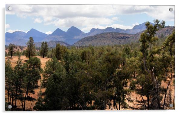 Wilpena Pound, Flinders Ranges Acrylic by Carole-Anne Fooks