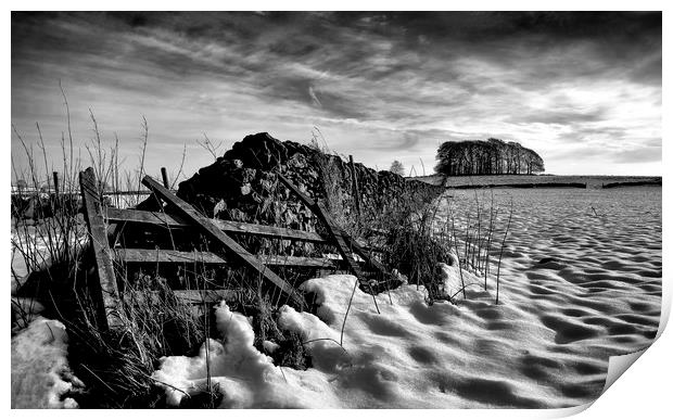 winter snow and old gate Print by Nick Lukey