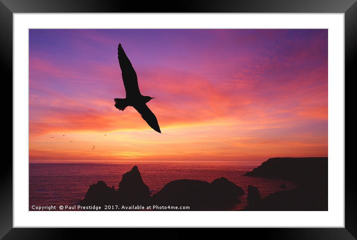 Sunset, Kynance Cove, Cornwall Framed Mounted Print by Paul F Prestidge