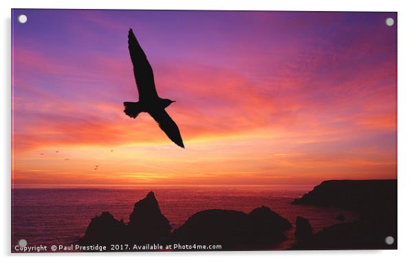 Sunset, Kynance Cove, Cornwall Acrylic by Paul F Prestidge