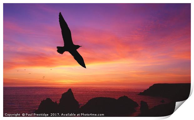Sunset, Kynance Cove, Cornwall Print by Paul F Prestidge
