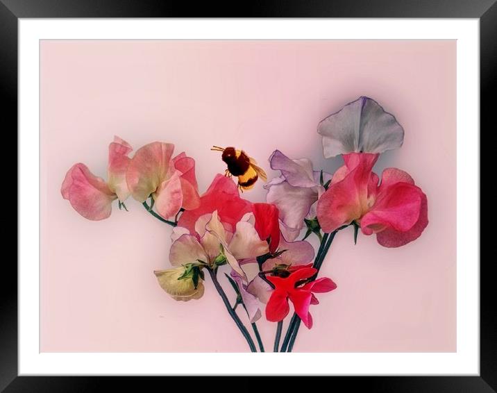 A bit of fun with some flowers Framed Mounted Print by Henry Horton