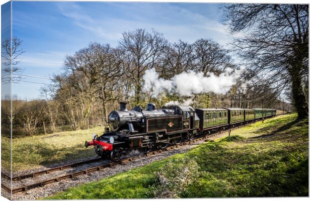 Isle Of Wight Steam Railway Canvas Print by Wight Landscapes
