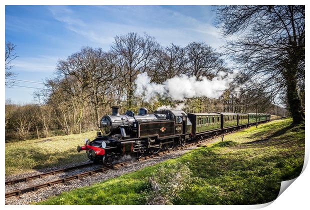 Isle Of Wight Steam Railway Print by Wight Landscapes