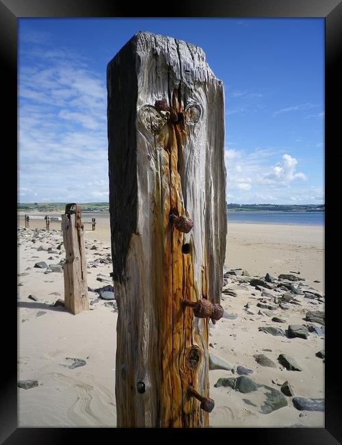Old Weathered Posts, Crow Point, Braunton Burrows, Framed Print by Richard Brookes