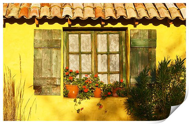 Sunshine and Shutters Print by Bel Menpes