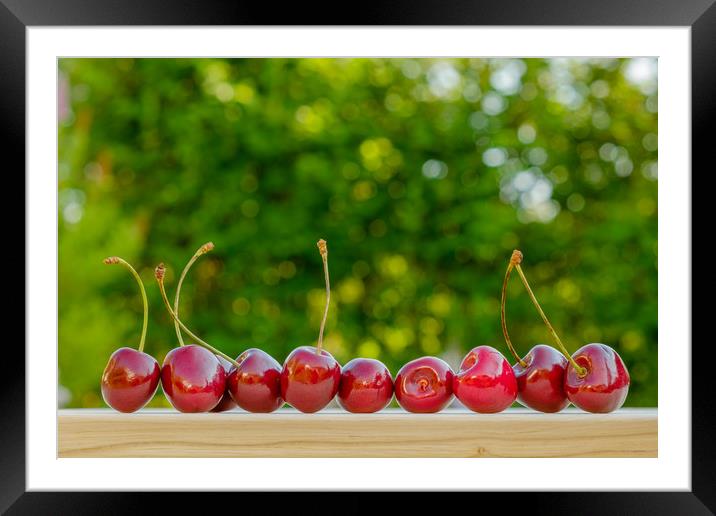 Cherry ripe red natural background.  Framed Mounted Print by Yury Petrov