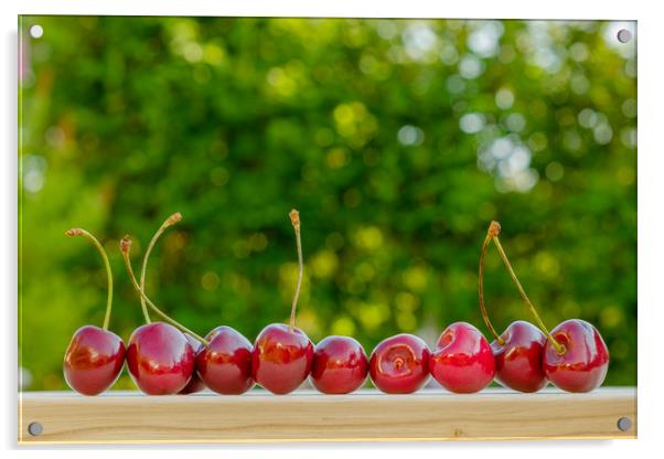 Cherry ripe red natural background.  Acrylic by Yury Petrov