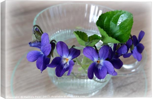 cup of violets Canvas Print by Marinela Feier