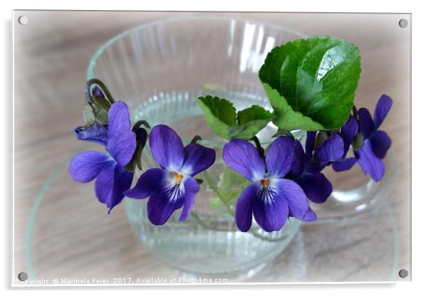cup of violets Acrylic by Marinela Feier
