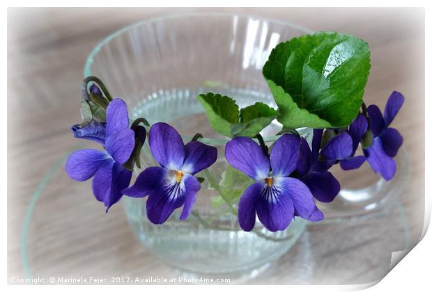 cup of violets Print by Marinela Feier