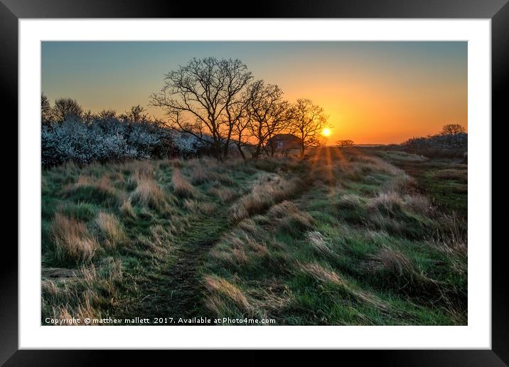 Sunrise Walk On Essex Backwaters Framed Mounted Print by matthew  mallett