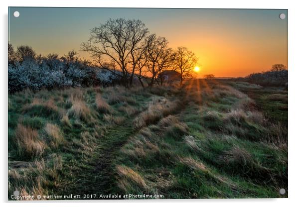 Sunrise Walk On Essex Backwaters Acrylic by matthew  mallett