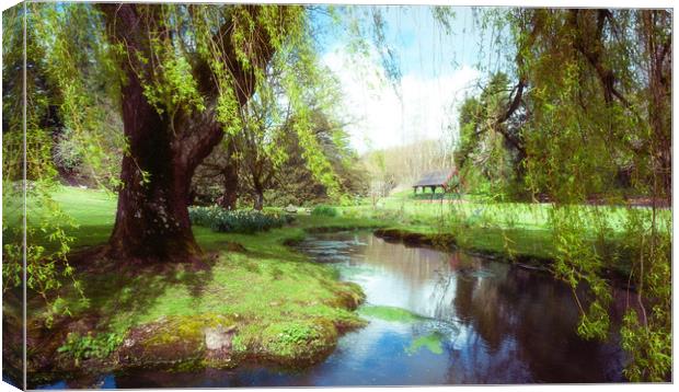 Willow Canvas Print by Richard Downs