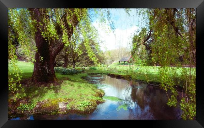 Willow Framed Print by Richard Downs