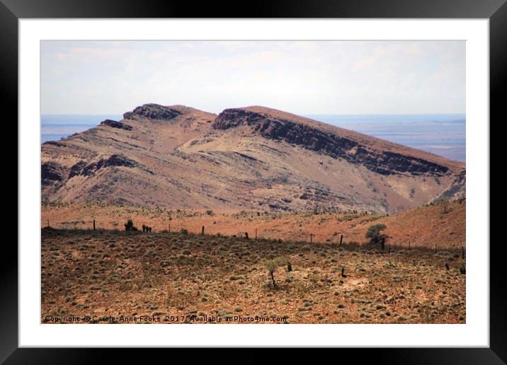 Mount Carnarvon, Flinders Ranges Framed Mounted Print by Carole-Anne Fooks