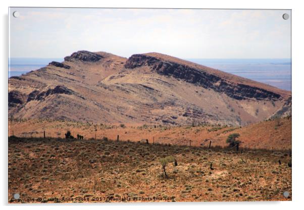 Mount Carnarvon, Flinders Ranges Acrylic by Carole-Anne Fooks