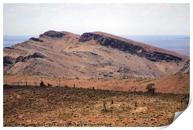 Mount Carnarvon, Flinders Ranges Print by Carole-Anne Fooks