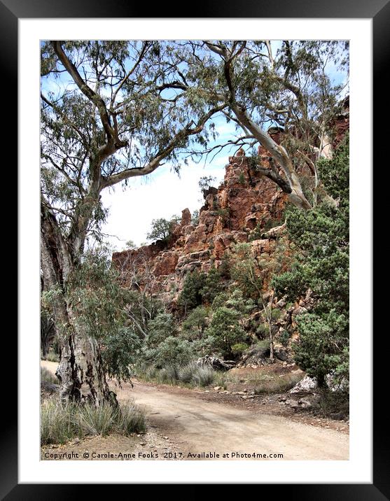 Warren Gorge, Flinders Ranges Framed Mounted Print by Carole-Anne Fooks