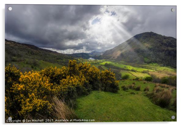 Valley Of Nant Gwynant Acrylic by Ian Mitchell