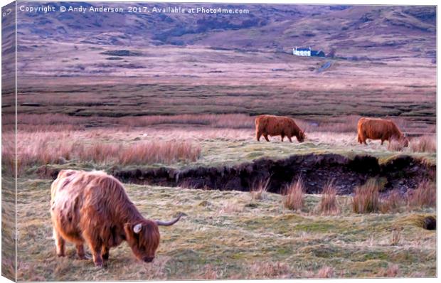 Scottish Highland Cattle Canvas Print by Andy Anderson