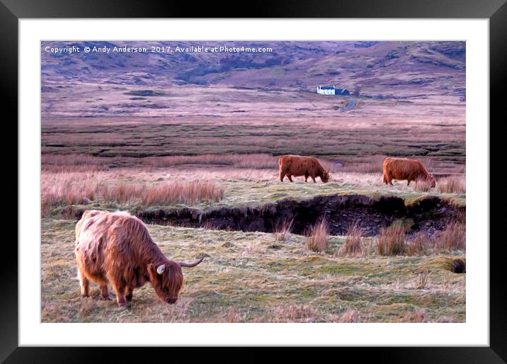 Scottish Highland Cattle Framed Mounted Print by Andy Anderson