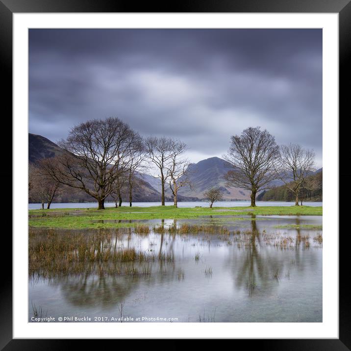 Buttermere Puddle Framed Mounted Print by Phil Buckle