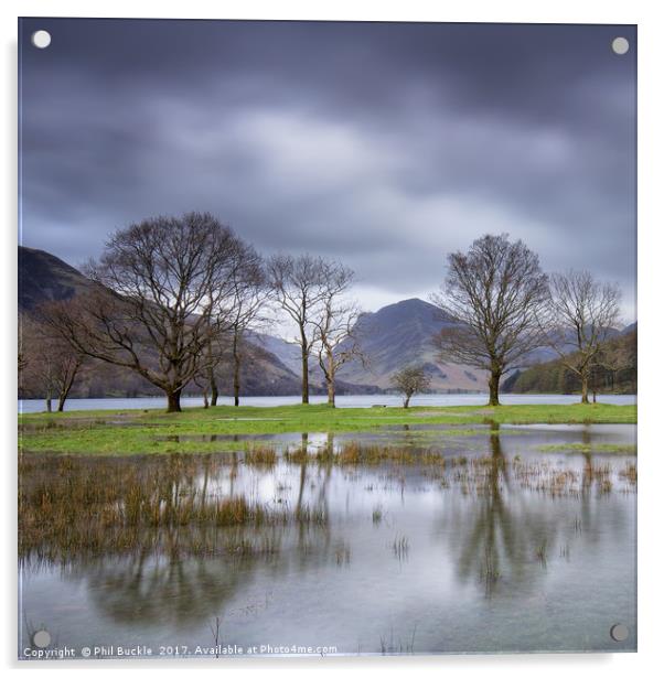 Buttermere Puddle Acrylic by Phil Buckle
